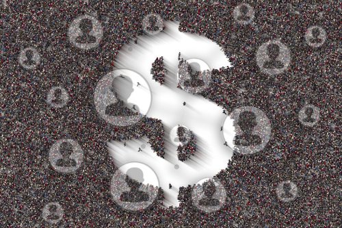 Network Ecosystems